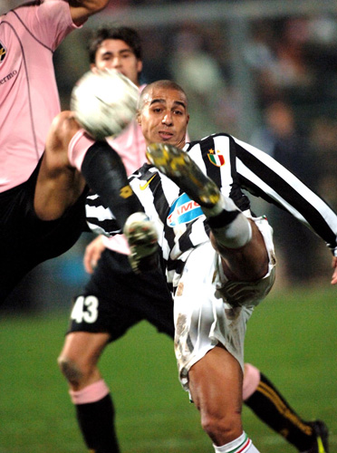 仅展示了个 仅展示了个